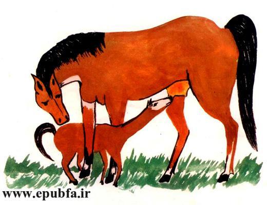 مجموعه شعر کودکانه قدیمی: باغ وحش برای بچهها / آموزش نام حیوانات به کودکان 5